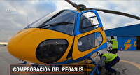 Pegasus