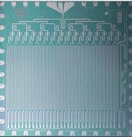 Array Josephson